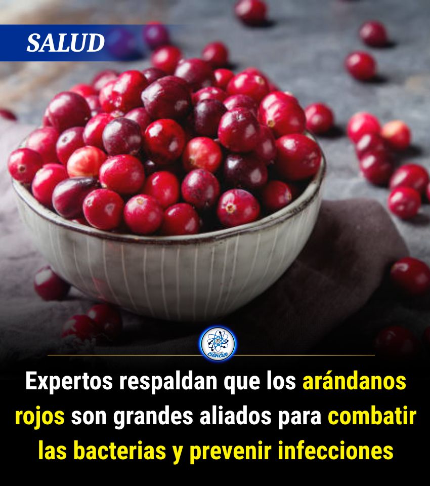 EnsedeCiencia's tweet photo. 🫐 De acuerdo con un estudio publicado en la revista European Urology Focus, el jugo de arándano rojo es un excelente remedio natural con el que puedes prevenir las infecciones urinarias https://t.co/ZGYn99CuL7
