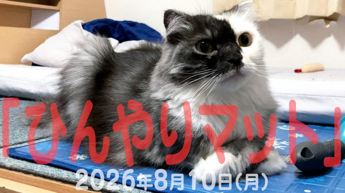 miichun0329's tweet photo. ニック・ウォーカーがいればメタルギアライジングを実写化できる https://t.co/n77n3kjJx2