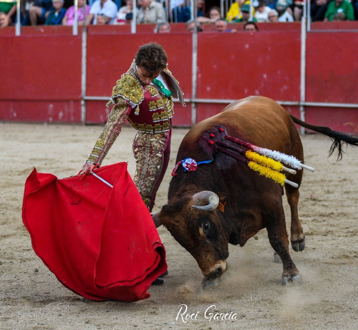 JavierTBombita's tweet photo. Portillo de Toledo, se hace camino al andar... https://t.co/scEfJ1uo8b