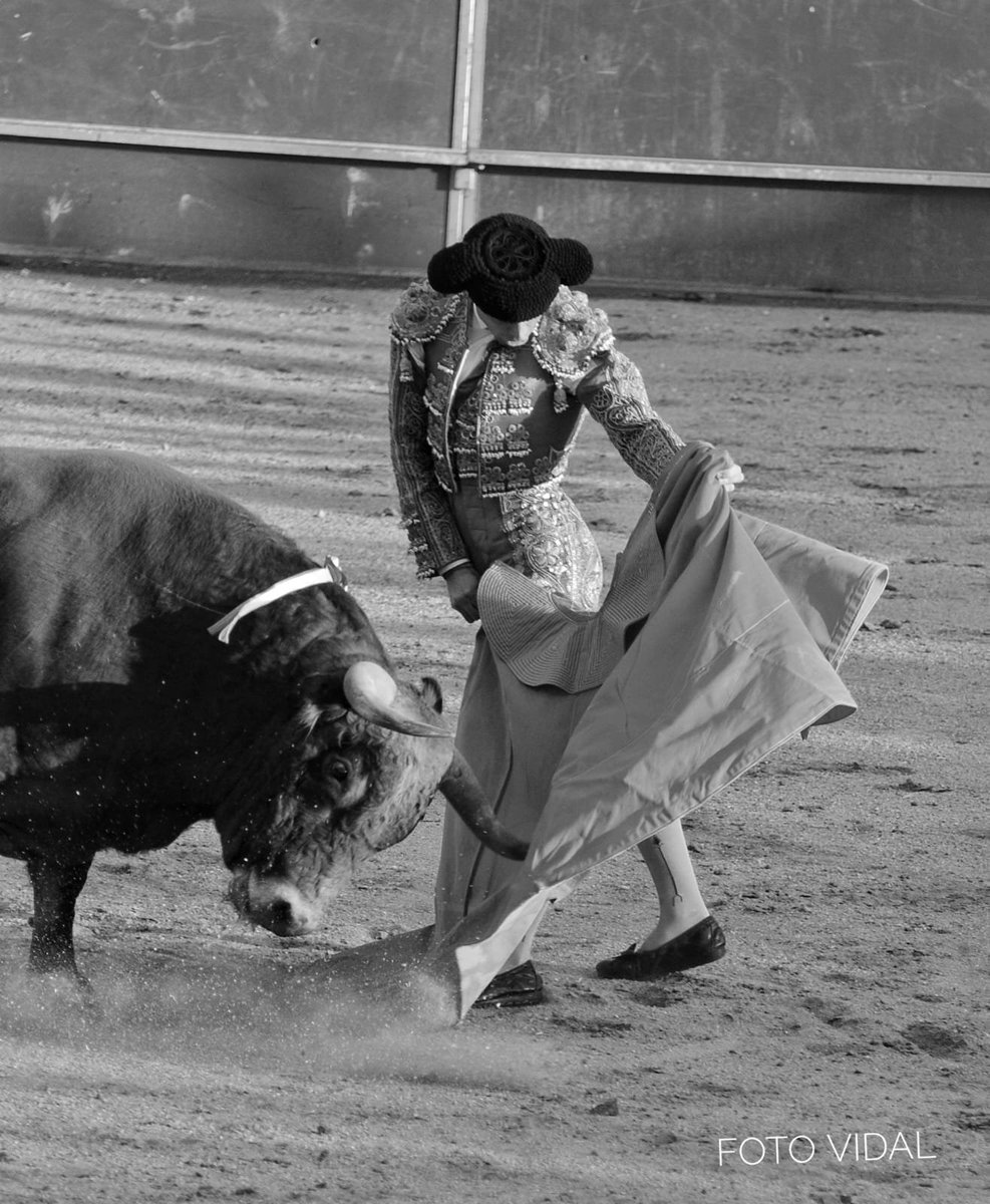 JavierTBombita's tweet photo. Portillo de Toledo, se hace camino al andar... https://t.co/scEfJ1uo8b