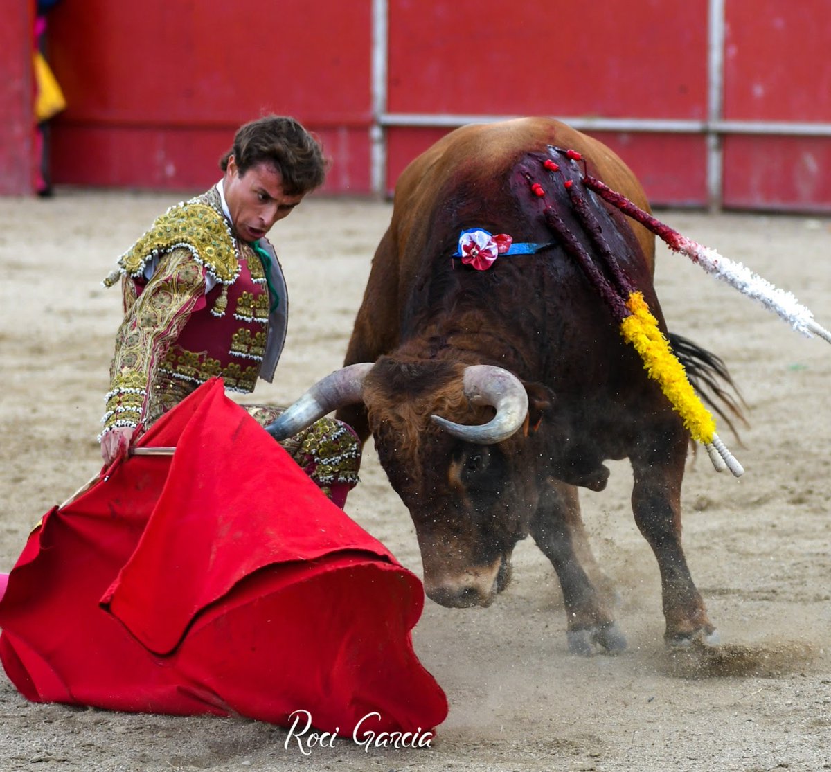 JavierTBombita's tweet photo. Portillo de Toledo, se hace camino al andar... https://t.co/scEfJ1uo8b