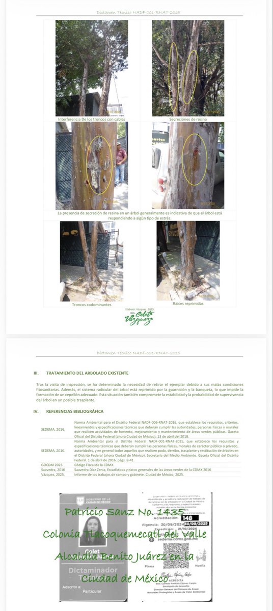 RebecaRuVi's tweet photo. @En_Narvarte2 @BJAlcaldia @VillaDeCortesBJ @supercivicosmx @UCS_GCDMX @pagolamx @marzziga @MerkoCortes https://t.co/RcM3FHUSyv