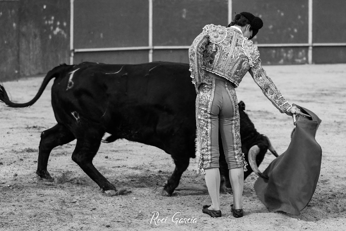 JavierTBombita's tweet photo. ¡Gracias Portillo! https://t.co/201VQNhR0u