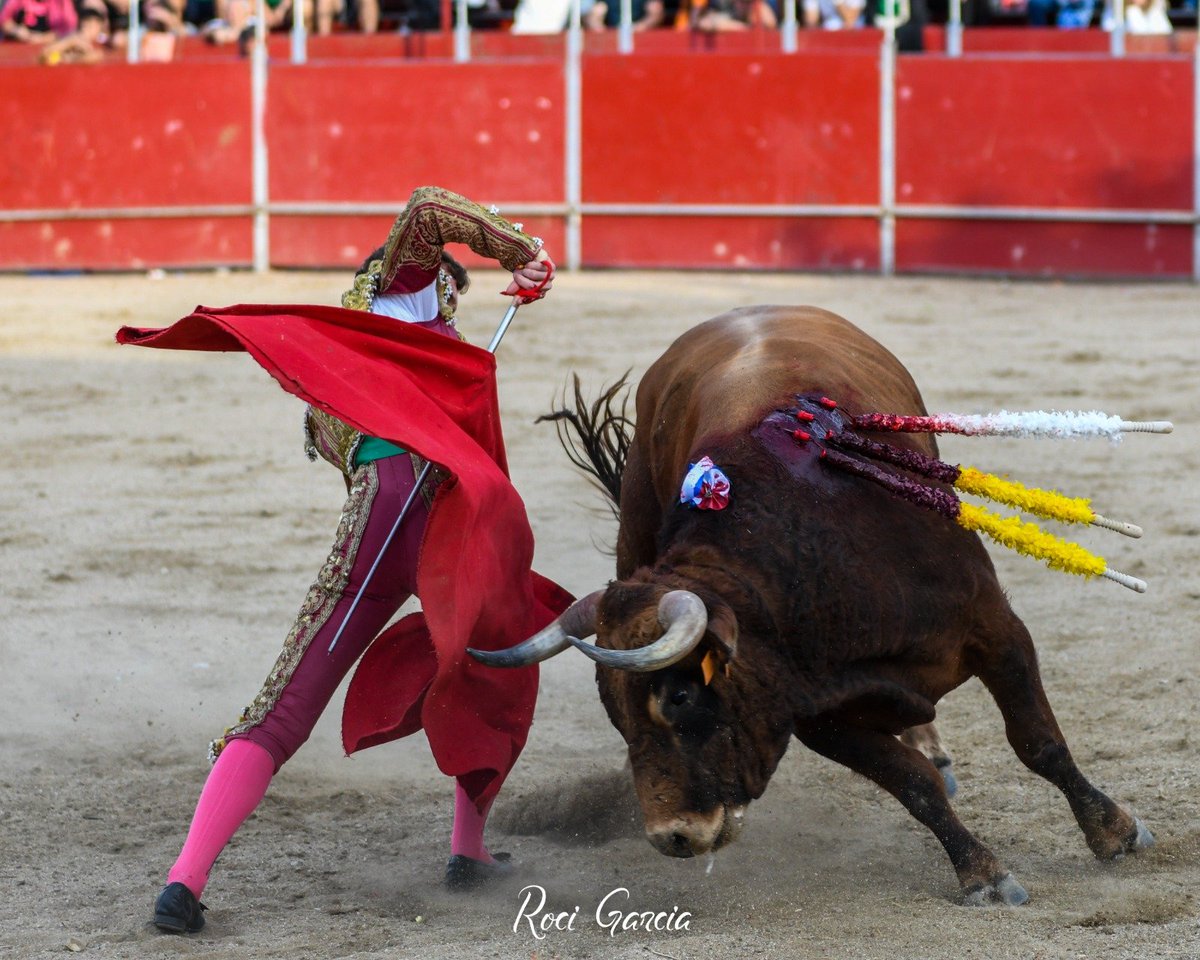 JavierTBombita's tweet photo. ¡Gracias Portillo! https://t.co/201VQNhR0u