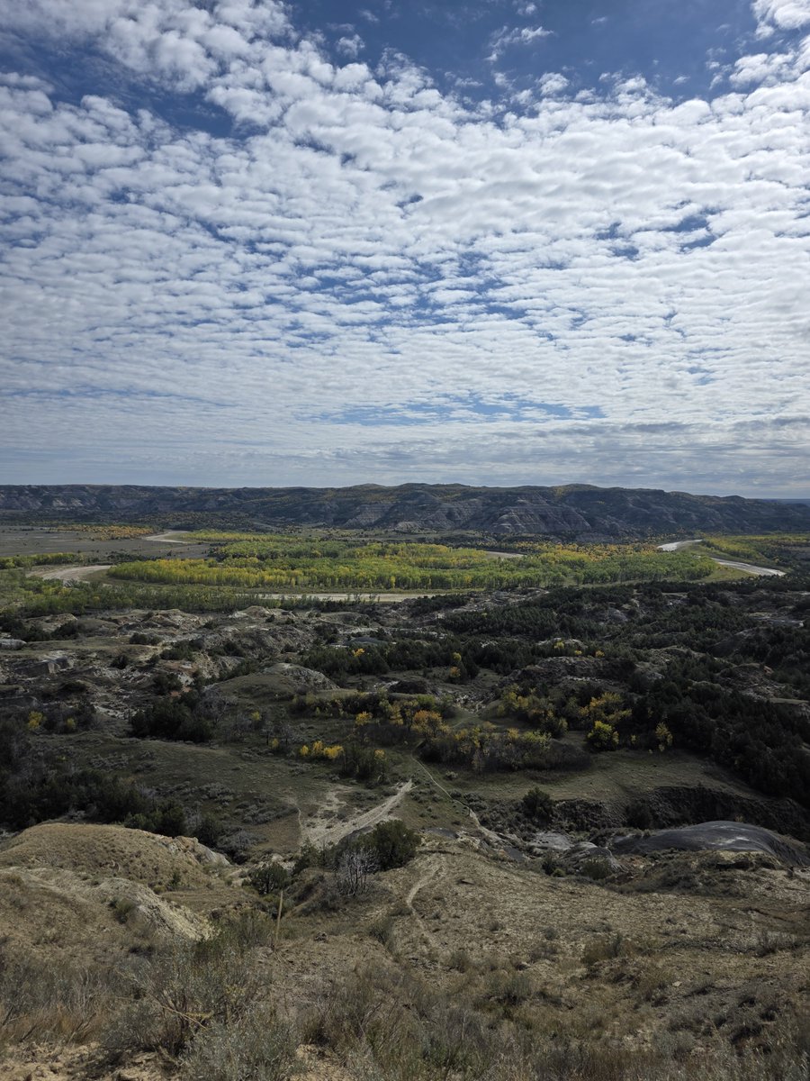 3_StrikedBandit's tweet photo. Fun weekend trip to Theadore Roosevelt National Park with some friends. First time seeing a buffalo 🦬 https://t.co/2rXSLBZJoF