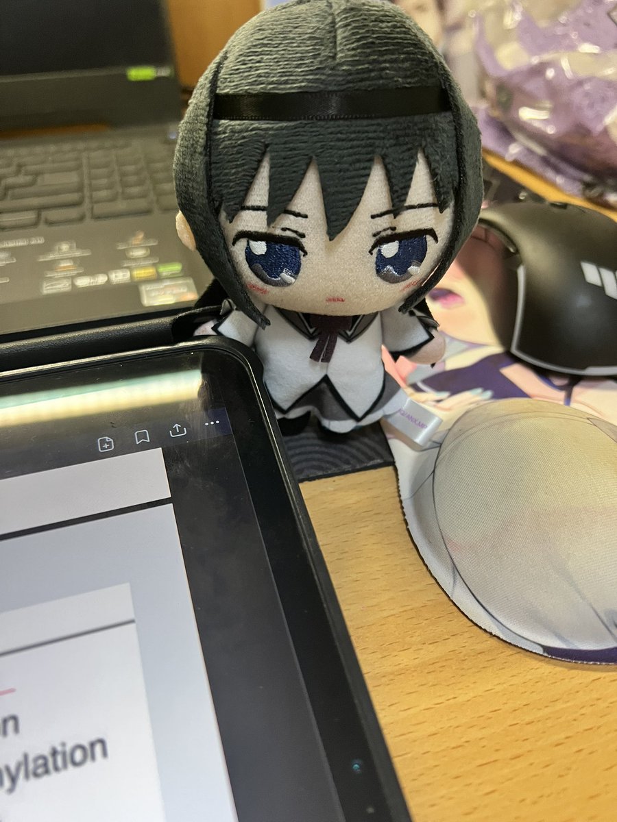 zyc050513's tweet photo. 中間テストの勉強を促すほむほむ https://t.co/8NdeG2xwoU
