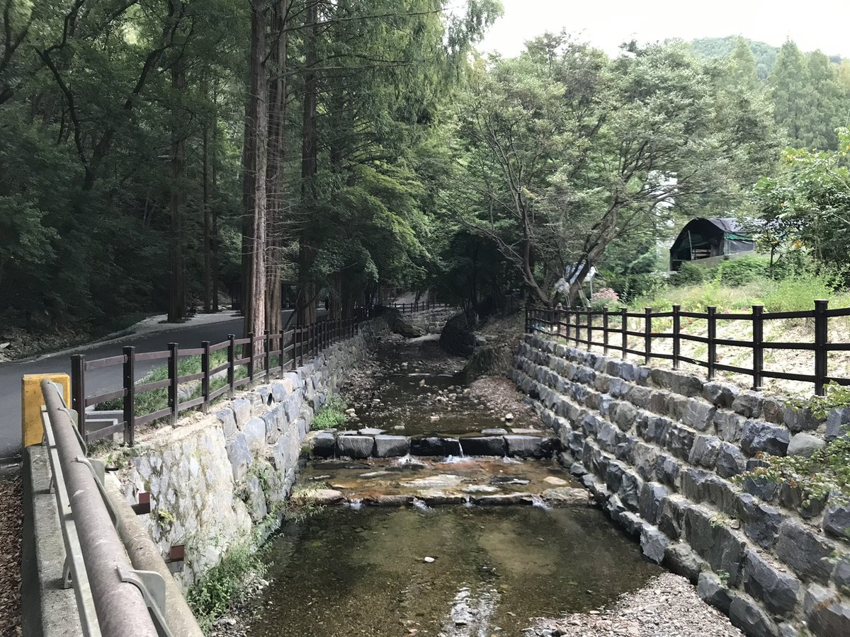 imrushon's tweet photo. 친구들이랑 같이 추석맞이 나들이 갔는데
숲 속만의 푸르름과 상쾌한 공기가 너무 좋았던 이슈
평상에서 다 같이 누워 하염없이 시간을 보내다 돌아왔다 나 다시 숲으로 돌아갈래 https://t.co/hCP4TeOR2Y