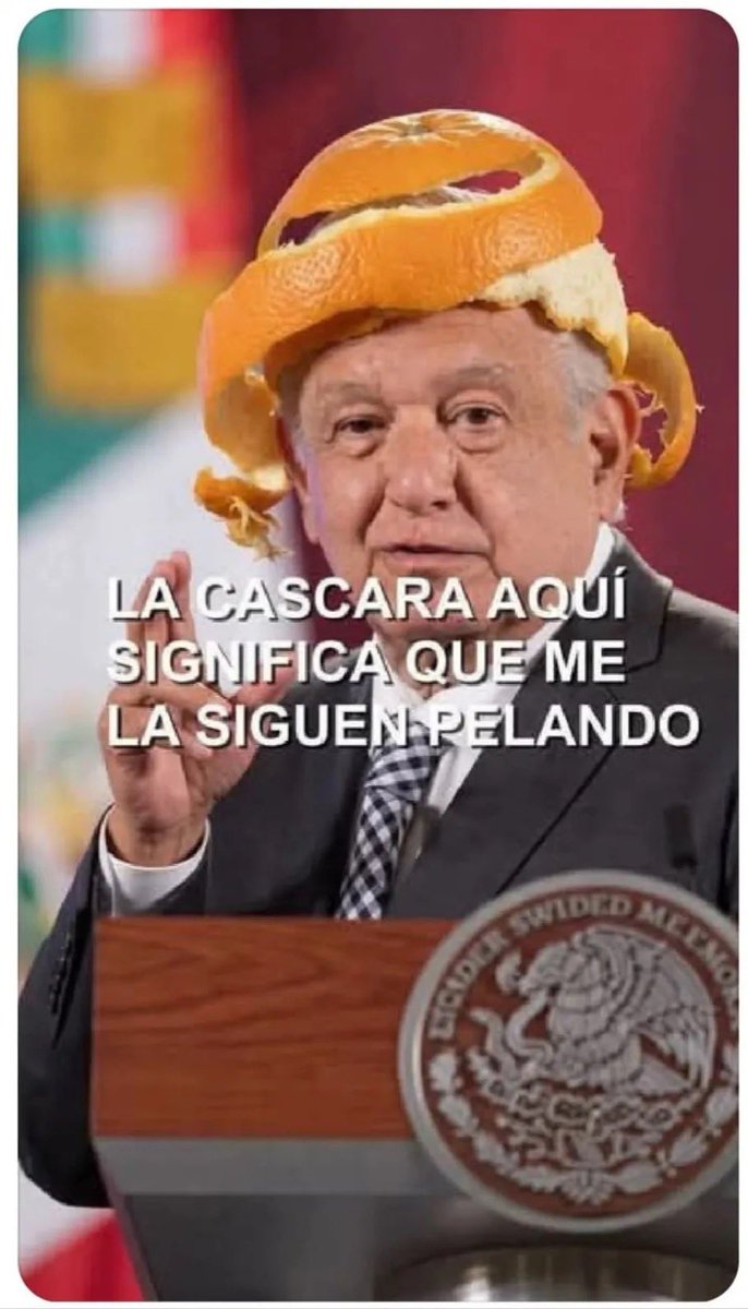 Nalulaflo's tweet photo. @MLopezSanMartin #pulgasdelaperritadetrump https://t.co/RbPyx9CULV