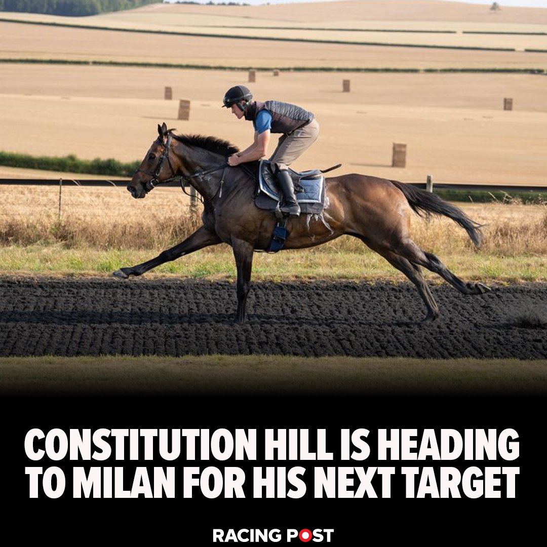 RacingPost's tweet photo. The Group 2 Gran Premio del Jockey Club is Constitution Hill's next target. 

Here's everything you need to know about the race 👇

📎 - https://t.co/6MmBVx7oN2 https://t.co/NzPhztJjJo