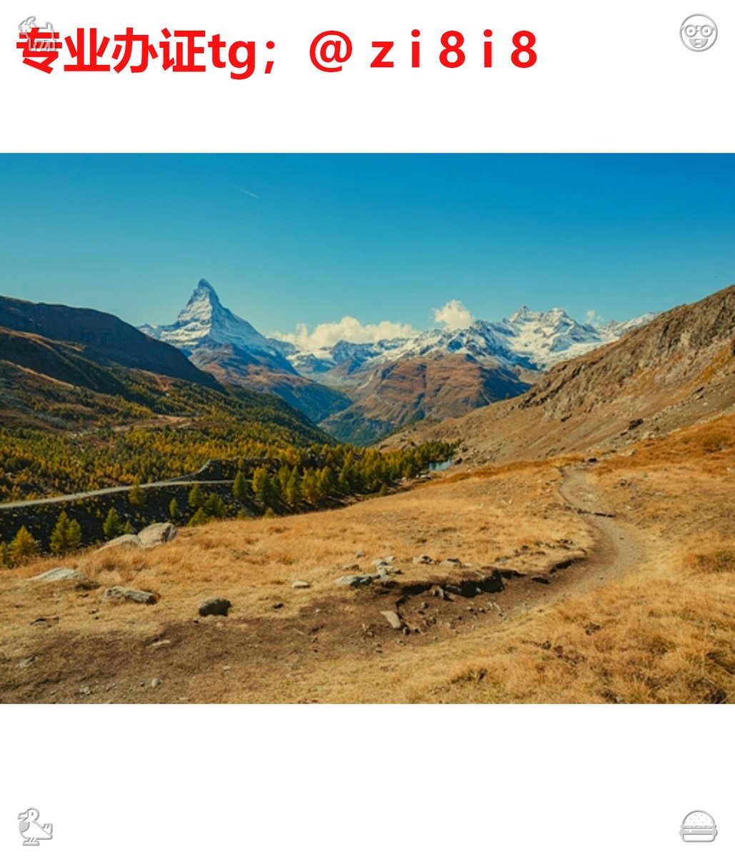 ivanxhtry's tweet photo. 🚒办证🐯刻🦼章🚉
🐮专业🧑快速🧮安全🚌
🎍诚信第一 ⏱支持💧担保🧿

韩国 多哥 突尼斯 圣基茨和尼维斯 泰国 护🔐照、签🥏证、身份🏂证🕴
办🦏可查🎰毕业😤证🥤网络教育🐿专业硕士学位证书👻理学学士学位证书📯房地产经纪人证🧠银行业职业资格证🙎教师资格证🙇软件设计师证🚘港澳通行证

You a https://t.co/Pf9KONjKqM