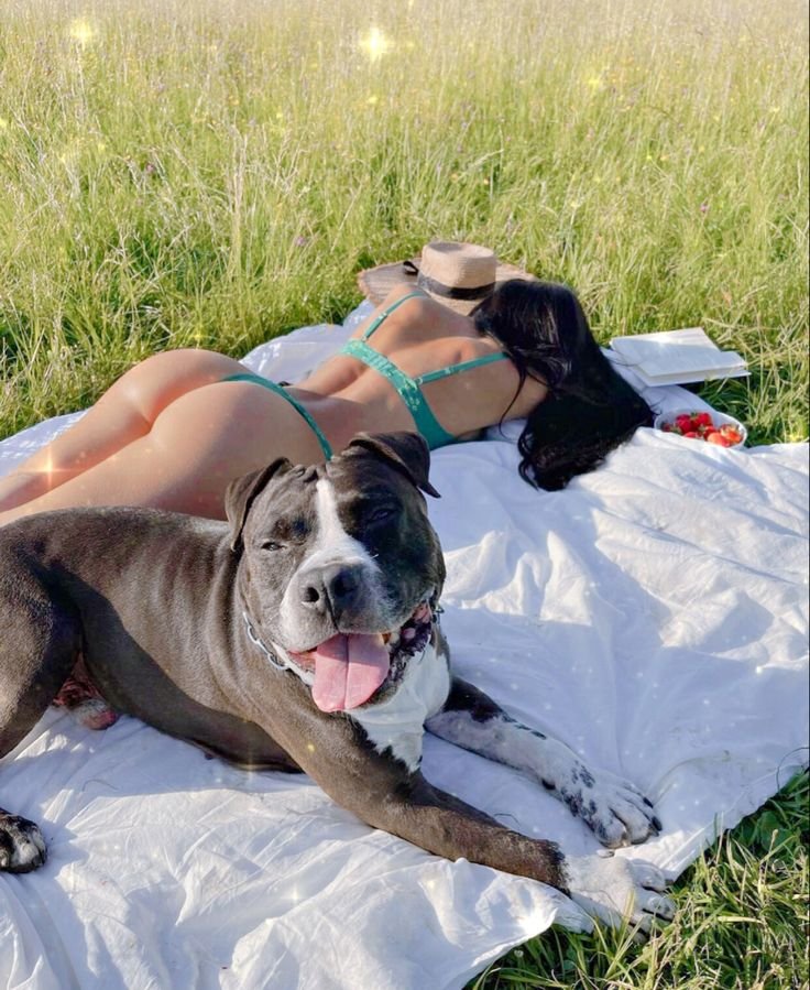 MercyMomoh1's tweet photo. Even the most ordinary day can feel special when you’re spending it with someone who makes you smile 🐶💕 Stay close and subscribe

@Pollypaws45 https://t.co/vOWNzWgF5I