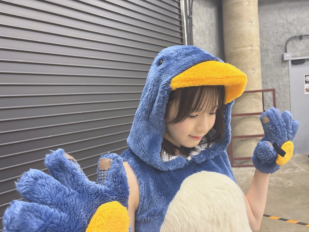 erichan_akb48's tweet photo. ペンギン🐧 https://t.co/eJOnF77SNr