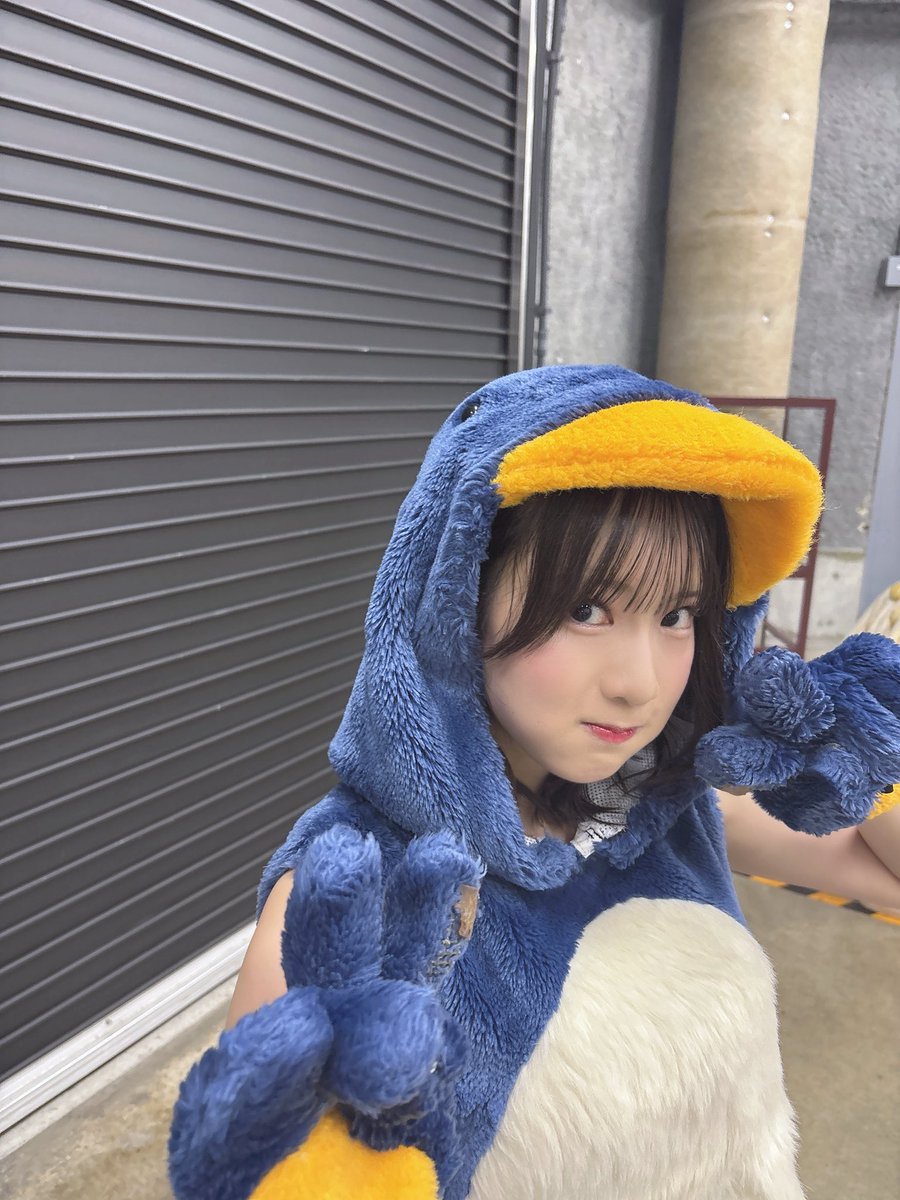 erichan_akb48's tweet photo. ペンギン🐧 https://t.co/eJOnF77SNr