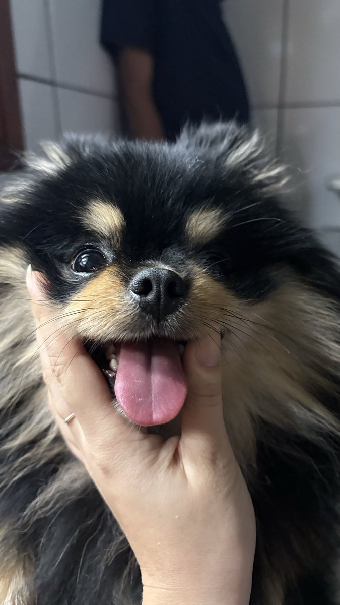 piyoonmin's tweet photo. ontem atendi um bebezinho que me lembrou o yeotan🥺🖤 https://t.co/Q3UVbUpUvv