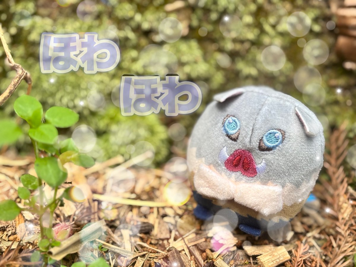 73_nui's tweet photo. タグ🏷️のお迎え遅くなりすみません🙇‍♀️
呼びタメ◎🙆‍♀️なのでみなさん仲良くして下さい🫶 https://t.co/EpCCOT00kQ
