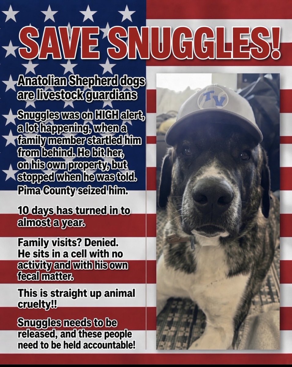 mistclance's tweet photo. We’ve emailed, called &amp; begged—yet Snuggles is still in solitary. For a year: forced to toilet where he sleeps, no activity, no visits, and drugged. End this cruelty NOW!!
Send him HOME 
#SaveSnuggles 
@SecRollins
@JudgeJeanine https://t.co/ozURDWSfbQ