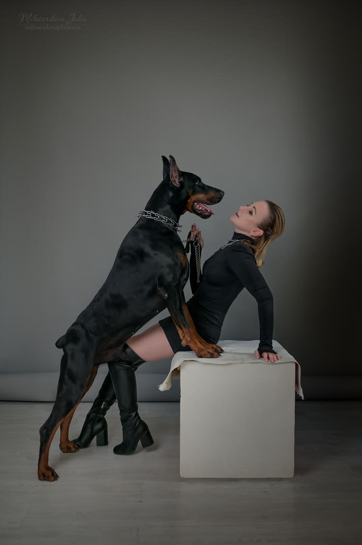 MercyMomoh1's tweet photo. The sweetest memories often come from the days when we’re simply together, enjoying each other’s company 🐶💕 Stay with us and subscribe

@Pollypaws45 https://t.co/M3zaPHRm1f