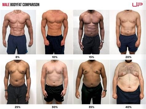 432hzF's tweet photo. @muscleforlife This will be far too simple for most. Pick the body fat % on here that you would like to be like. Then eat that % of fat (by calories not weight) every day. https://t.co/NwpZ562B4s