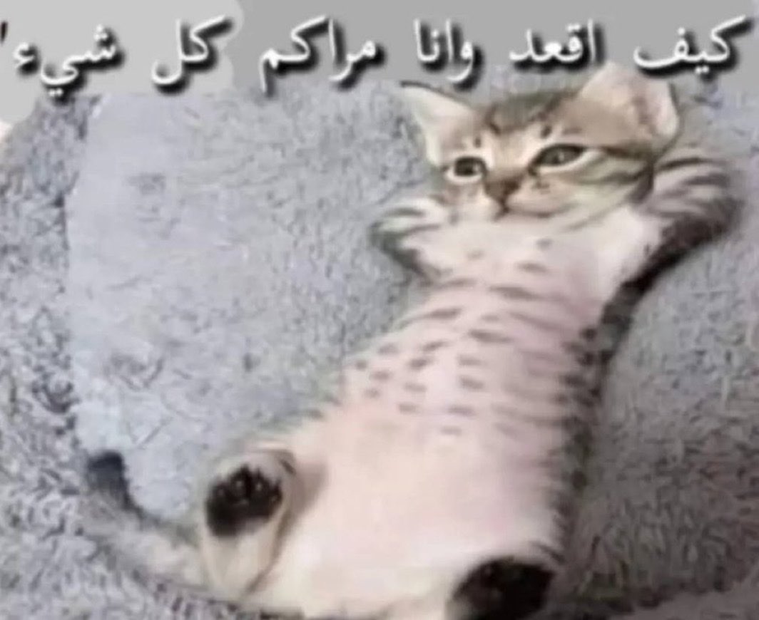 A7md_xe's tweet photo. المنهج بديره وانا بديرهه https://t.co/7bEJ9bxYr1