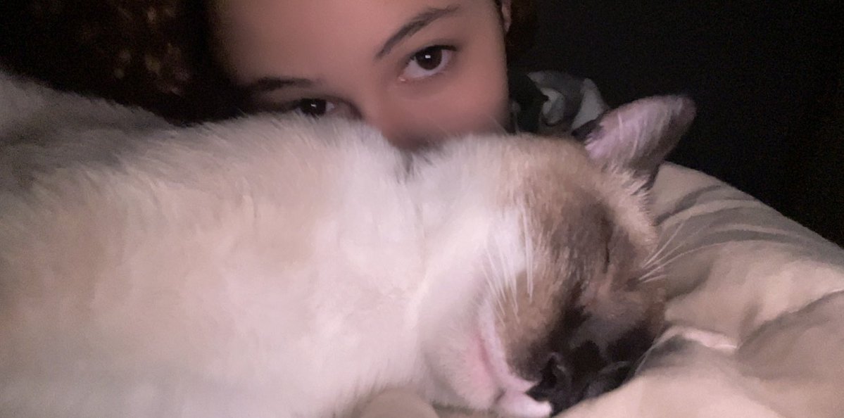 vmimispark's tweet photo. jungkook com esses bracao ai e eu com meu gatito https://t.co/SEgiCsivaM
