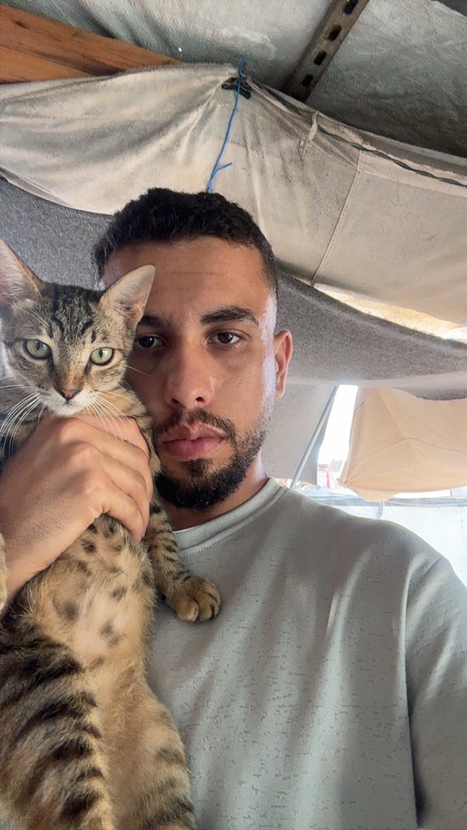 Mo7mmd30's tweet photo. My cats and i are still alive here in Gaza🇵🇸 https://t.co/ouGL03D32B