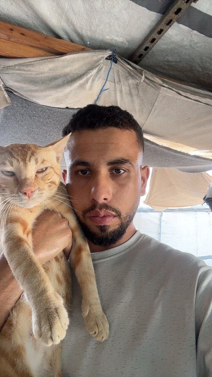 Mo7mmd30's tweet photo. My cats and i are still alive here in Gaza🇵🇸 https://t.co/ouGL03D32B