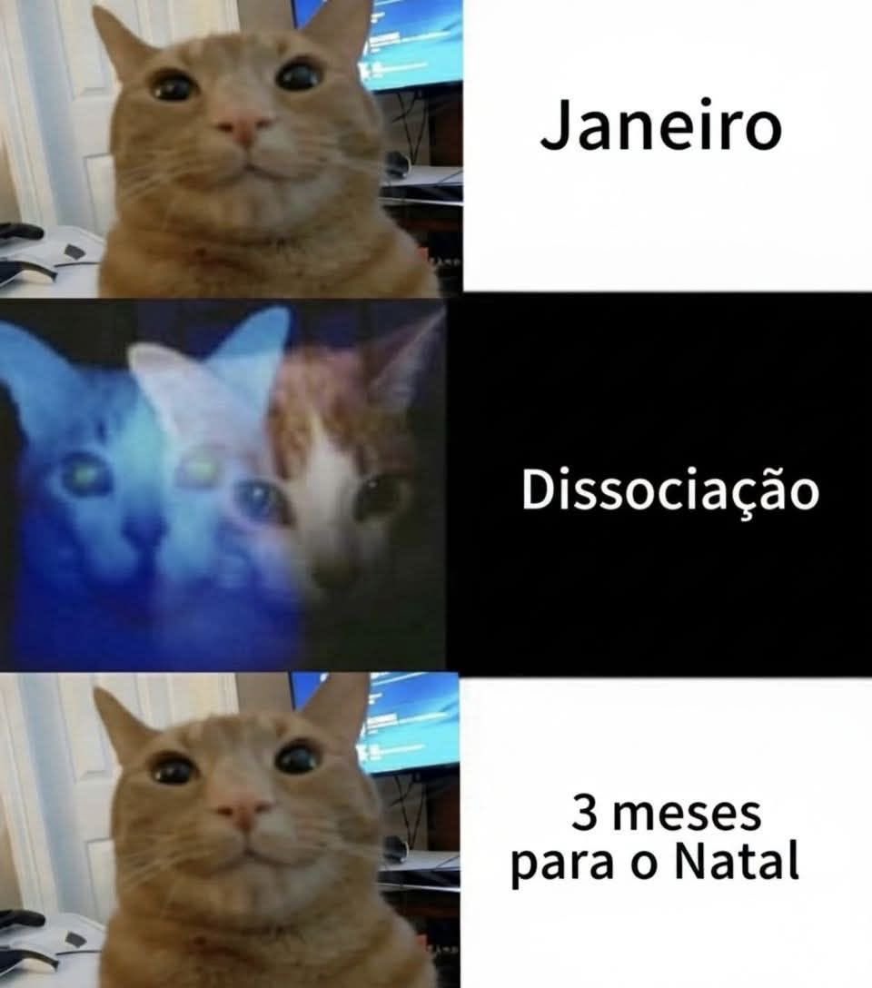 acervobichinho's tweet photo. https://t.co/fjrV3HtY7b