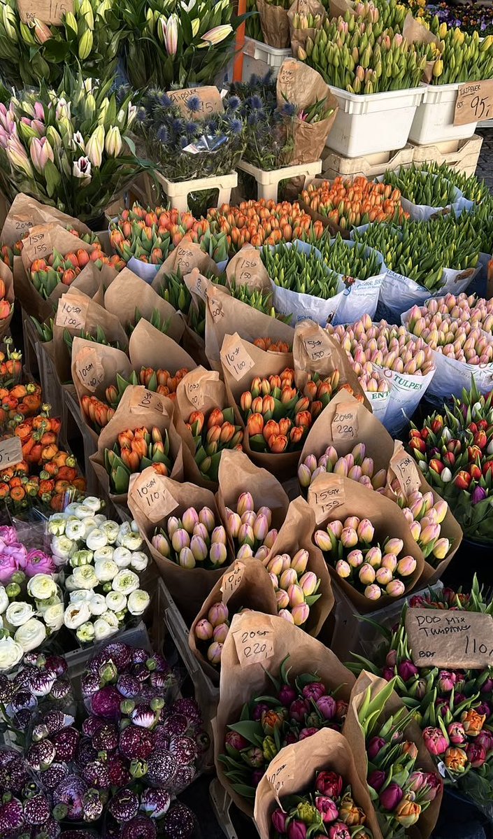 Flowersidmb's tweet photo. https://t.co/Tlh896gWG3
