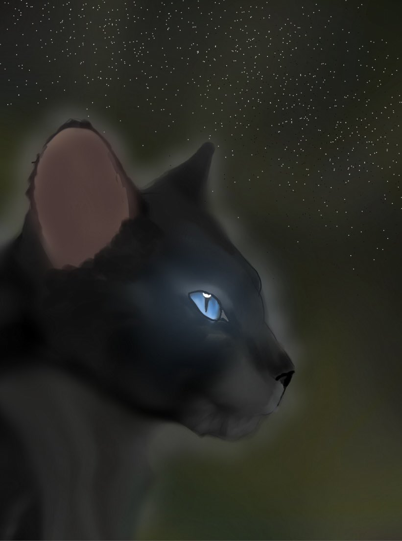 HaydenKeni22395's tweet photo. #warriorcats #warriors #crowfeather #lionblaze
A beautiful father son duo rember that time when lionblaze almost killed his own dad but his ex girlfriend stopped him..
Good times… good times https://t.co/7MpltQMNYY