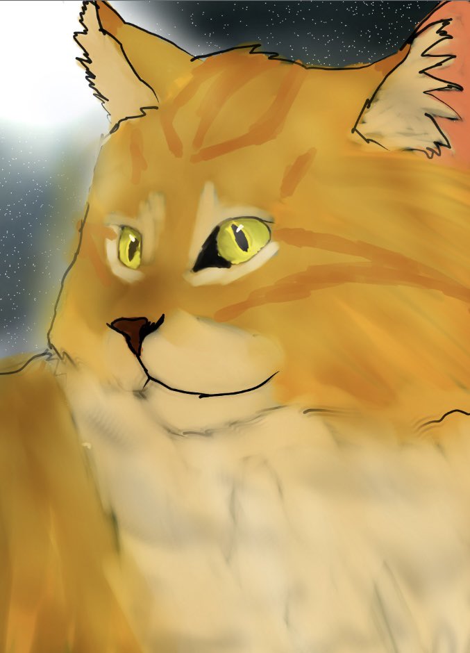 HaydenKeni22395's tweet photo. #warriorcats #warriors #crowfeather #lionblaze
A beautiful father son duo rember that time when lionblaze almost killed his own dad but his ex girlfriend stopped him..
Good times… good times https://t.co/7MpltQMNYY