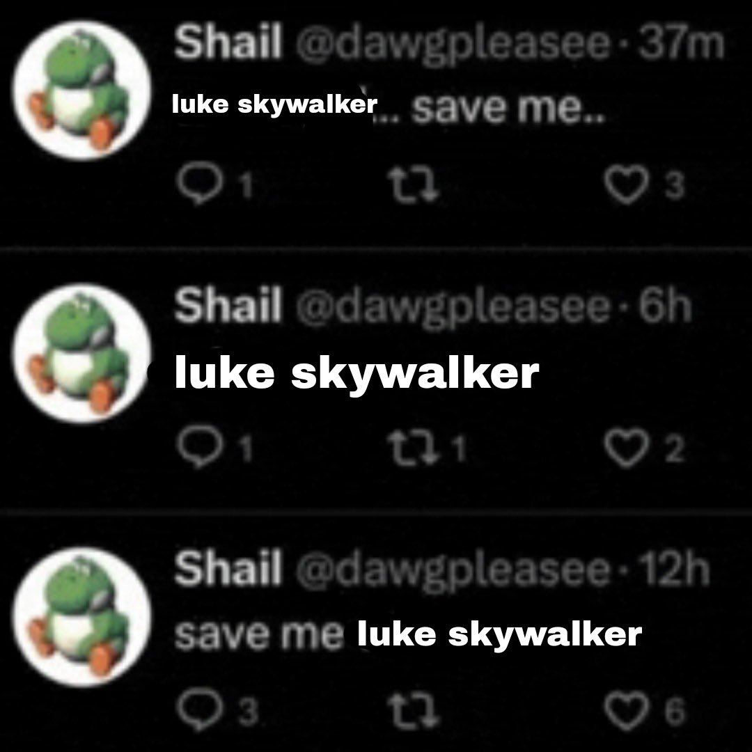 lukescarif's tweet photo. me everyday https://t.co/1OwTCKTSKg