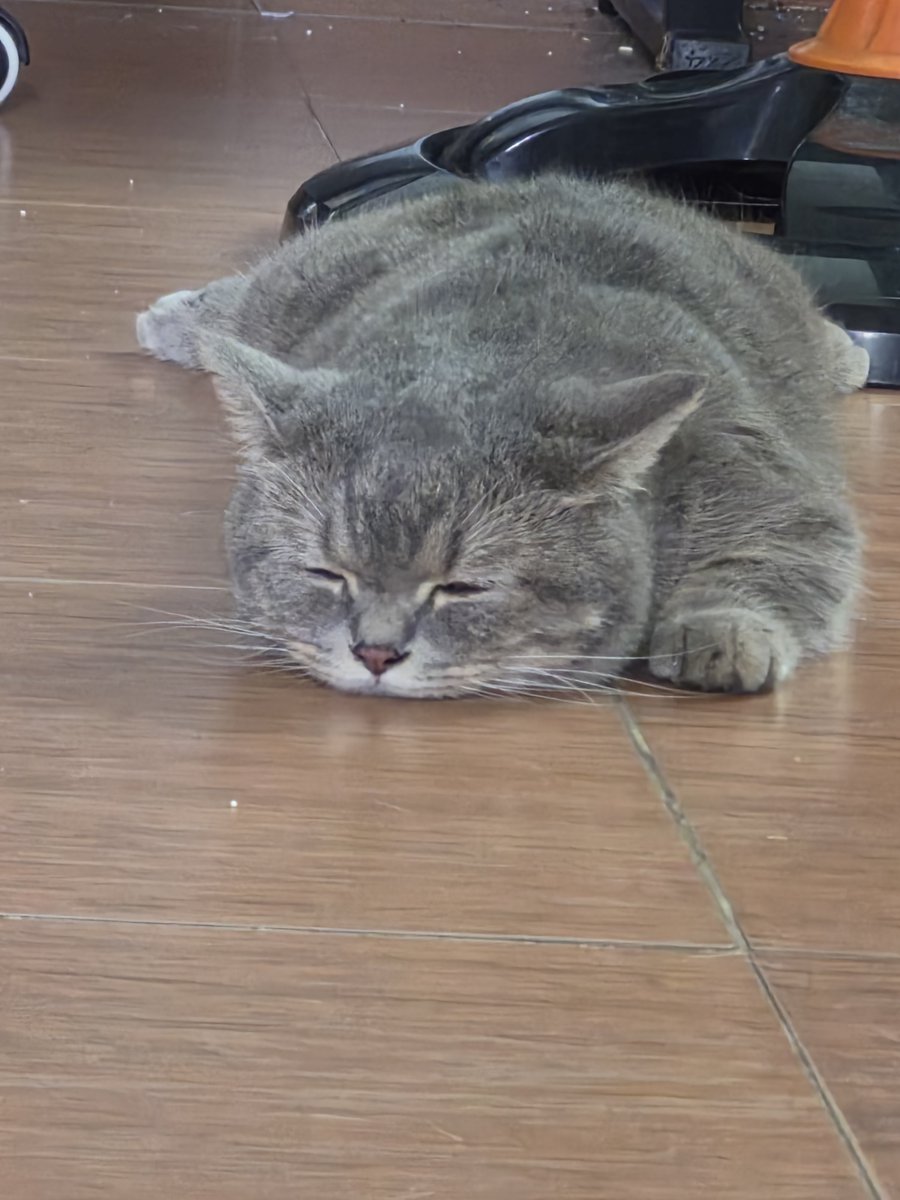sireIIe's tweet photo. khó tính thế nhờ https://t.co/wgjWWioWBD