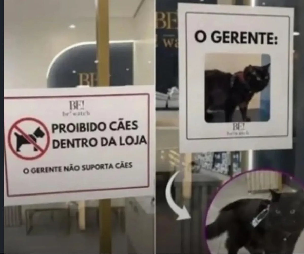 shitpostverdade's tweet photo. https://t.co/iQvxsIjwyQ