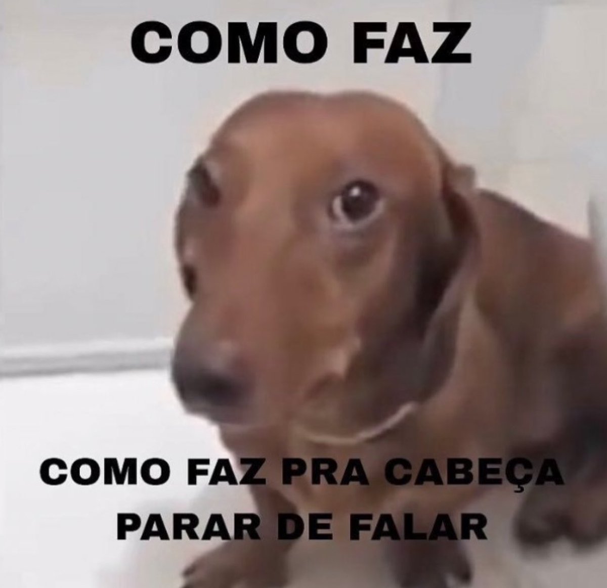 shitpostverdade's tweet photo. https://t.co/wDOAifv3kD