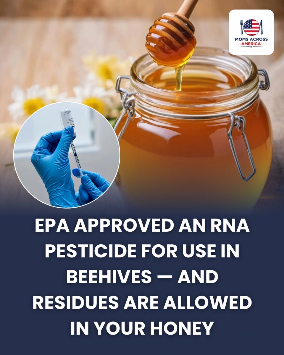 momsacross's tweet photo. The EPA has approved a new kind of pesticide for use inside honey bee colonies.

It’s called Vadescana, and instead of killing Varroa mites with a conventional chemical pesticide, it uses double-stranded RNA to interfere with a specific gene to keep the mites from being able to reproduce… 

And bees consume the treatment inside the hive.

RNA gene editing technology again interfering with reproduction, does this sound like something we want in our HONEY?

And the EPA has established a tolerance exemption for Vadescana residues in honey and honeycomb, meaning there is no numerical maximum residue limit required.

Should we test honey next? 🍯🐝
