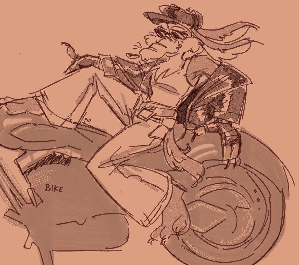 unfortunateham's tweet photo. The coyote goes vroom https://t.co/PktUbhKzBK