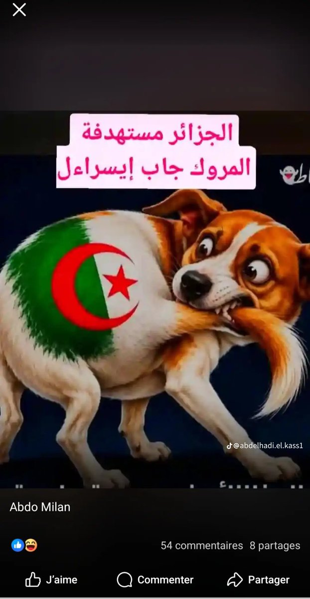 SalahTech178419's tweet photo. @RedaMagraoui @NeillyCohen https://t.co/hmum1qb3zz