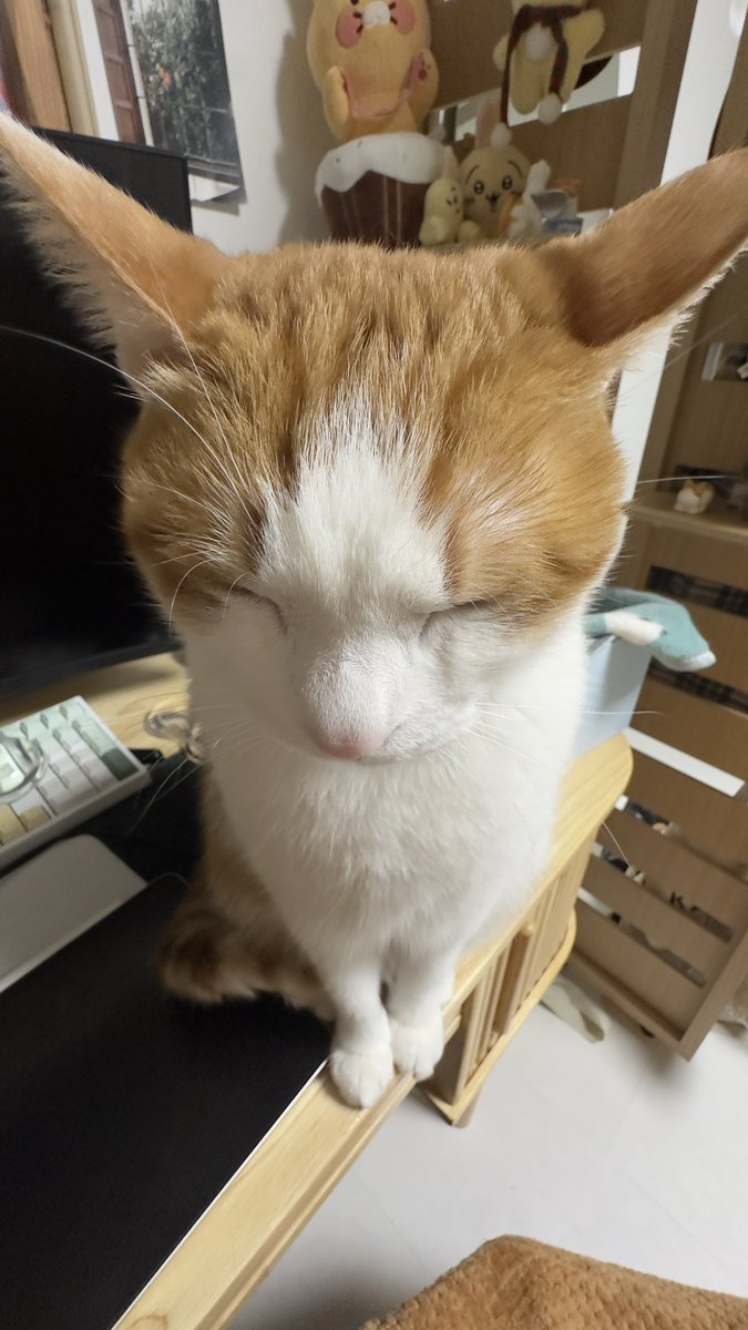 bbo__bbi's tweet photo. 자주 쓰는 짤공유 https://t.co/hmRA9UIEXh