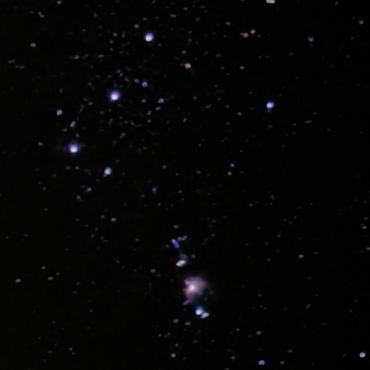 sage_astr's tweet photo. orion https://t.co/ePZKniKUJz