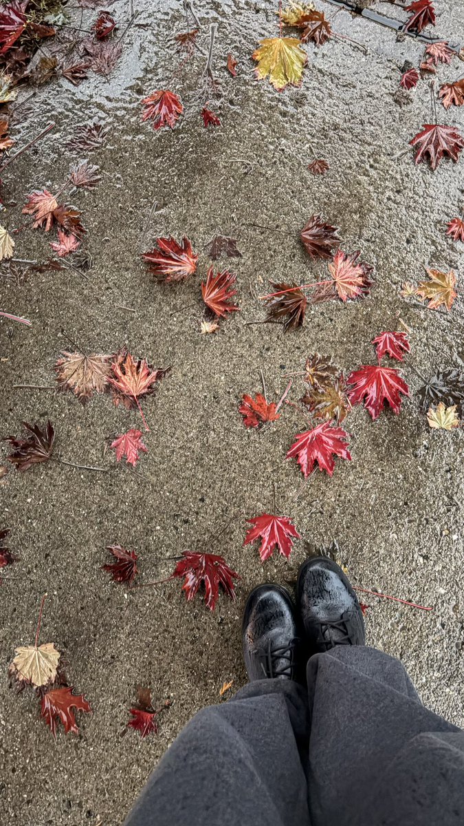 lissandraruas's tweet photo. Bom dia, Raincouver 🍁☔️ https://t.co/IrDubSQjM4