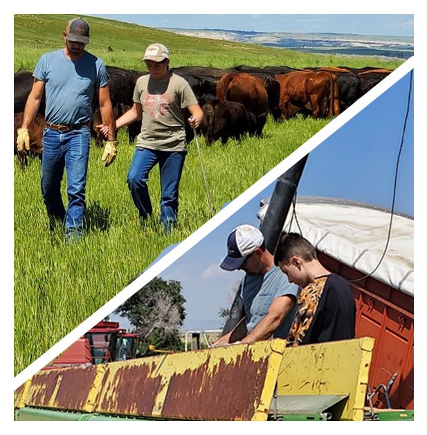 growingwyintrns's tweet photo. You CAN Farm Talks – Tom Watson
#bfrdpwy #aginternship #RightRisk
<a href="https://t.co/z3IYjtsBmp" target="_blank">
CLICK to learn more about this YCFTalks episode.</a>
ONE THING: Embrace adaptability.
– Tom Watson, You CAN Farm Talks speaker https://t.co/5Um7CqCztJ