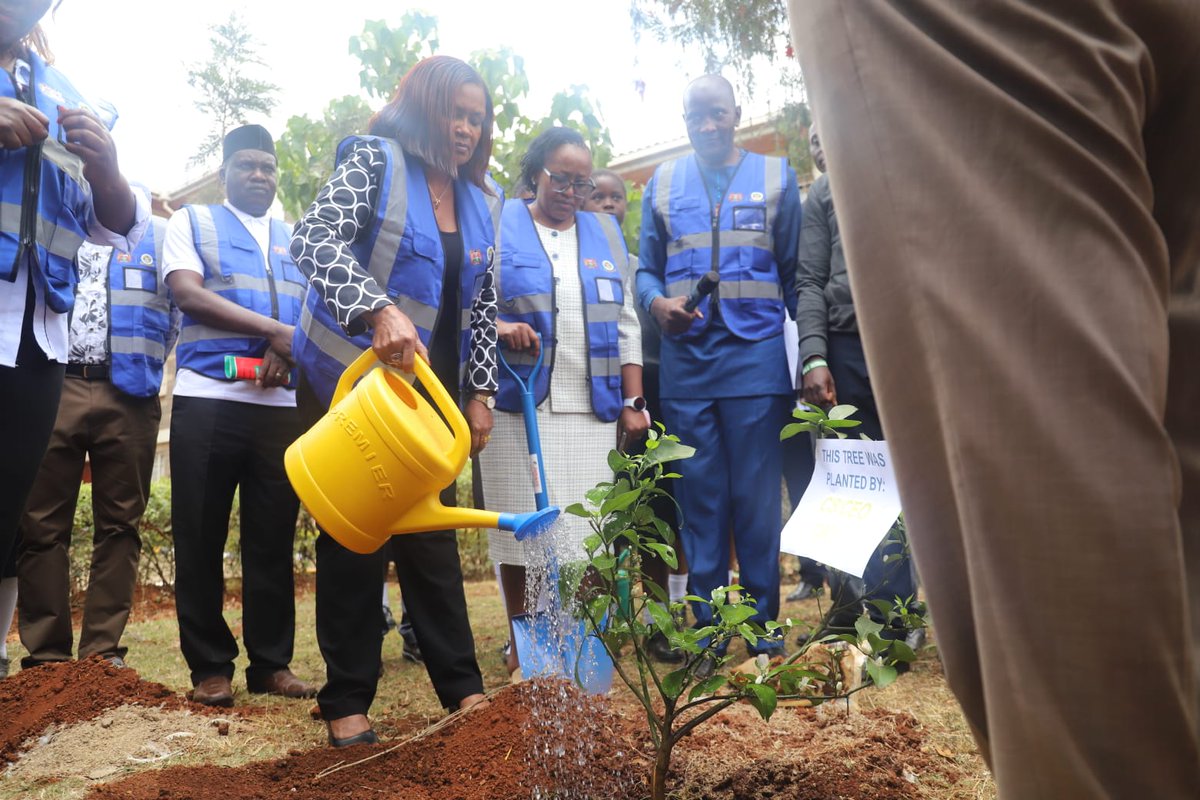 TSC_KE's tweet photo. Today, TSC Ag. Commission Secretary, Dr Evaleen Mitei, MBS, led educators and learners in Sub-County and County Awards ceremonies and tree planting, at St. George's Senior and Comprehensive  Schools.

​This is part of the build-up activities for this year's World Teachers Day, symbolizing growth, sustainability, and our shared commitment to celebrating teachers as well as nurturing both our learners and the environment.

Dr Mitei was joined by key Commission leadership, including: TSC Regional Director, Nairobi​, Regina Opondo,T​SC Director, Administrative Services Mr. Ibrahim Mumin, Director Operations, Gabriel Mathenge, Ag. Director Staffing, ​Dr Samuel Marigat, Principal St. Georges Senior School, Ms Assumpta Mwangi, Principal St. Georges Comprehensive School Ms. Anne  Katee, KESSHA, KECSHA, KUPPET and KNUT Officials.

​Together, we are building a greener, stronger future for our schools!