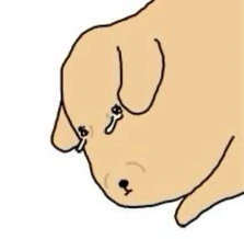 Luvilon tweet picture