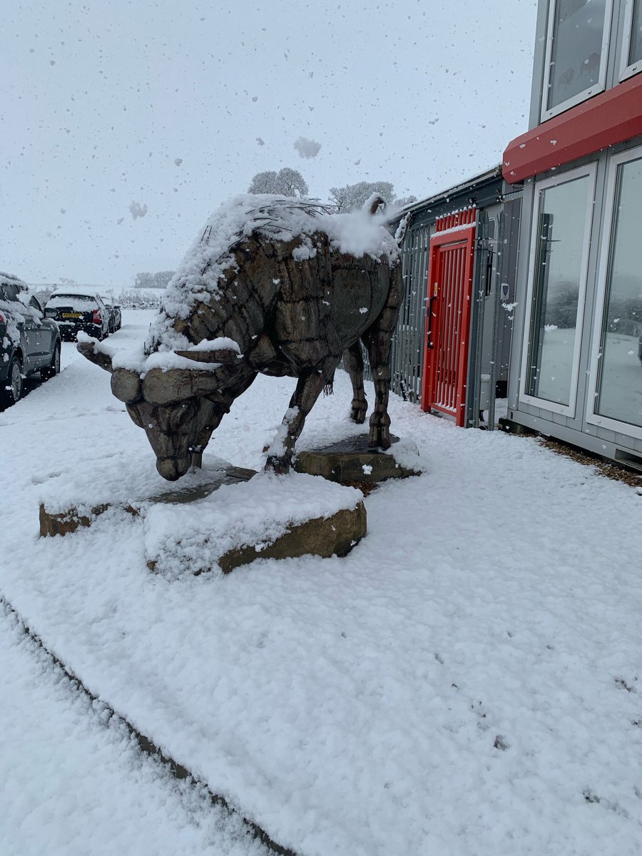 Buffaloadlogist's tweet photo. Been a while since we've seen anything like this!
Snow in Cambridgeshire - January 2021.
#ThrowbackThursday #snow #winterwonderland https://t.co/EmzXd4lnon