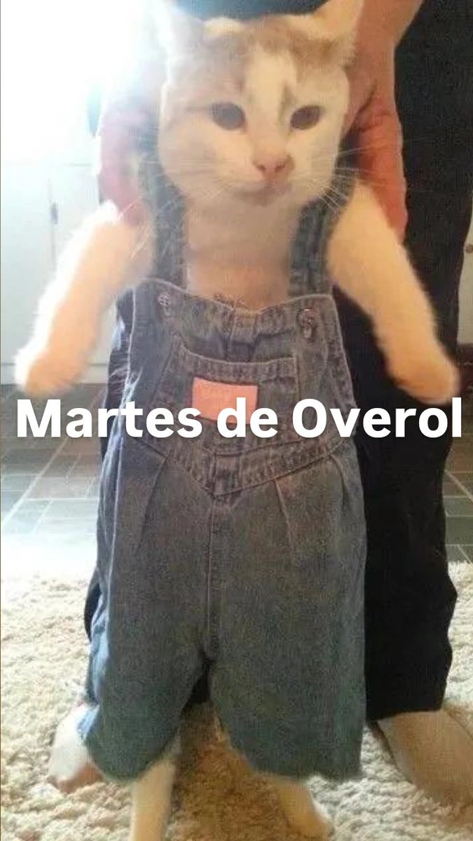 Mapaxitouwu's tweet photo. Es hoy 🫵 https://t.co/xnSdtIV2kY