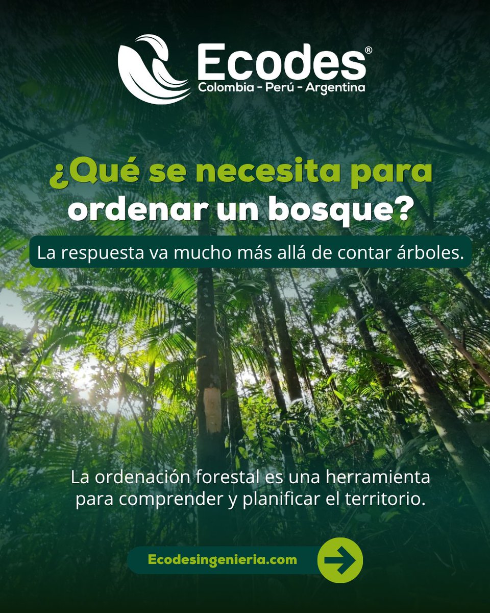ecodesing's tweet photo. ¿Qué pasa después de plantar un árbol?

Vienen el monitoreo para saber si hay regeneración natural y cómo responde el ecosistema.

Trabajamos para que cada intervención genere resultados sostenibles en el territorio. 

Sigue el hilo... y mira lo que encontramos en @CORPOGUAVIO https://t.co/JpEPYKRDPn