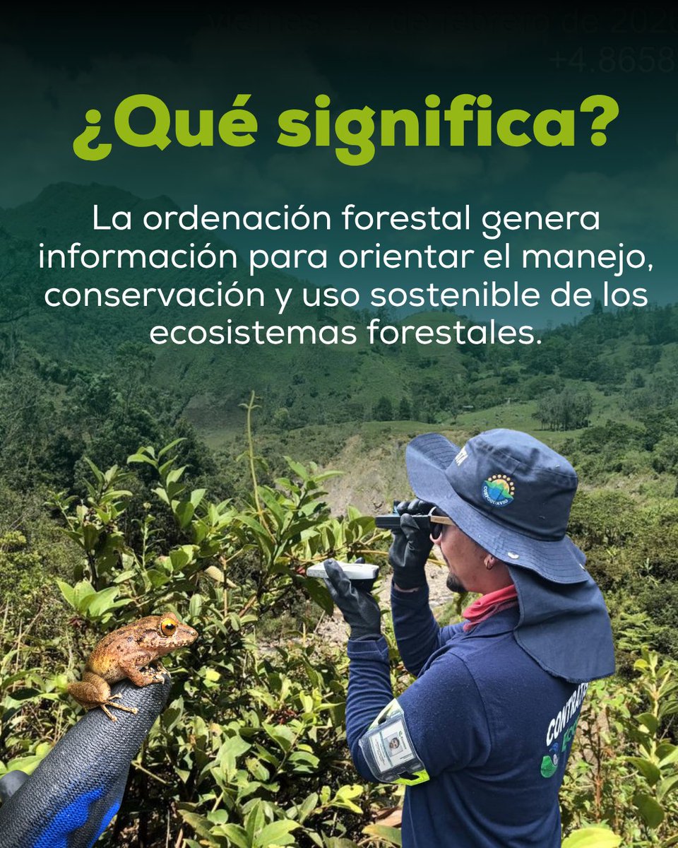 ecodesing's tweet photo. ¿Qué pasa después de plantar un árbol?

Vienen el monitoreo para saber si hay regeneración natural y cómo responde el ecosistema.

Trabajamos para que cada intervención genere resultados sostenibles en el territorio. 

Sigue el hilo... y mira lo que encontramos en @CORPOGUAVIO https://t.co/JpEPYKRDPn