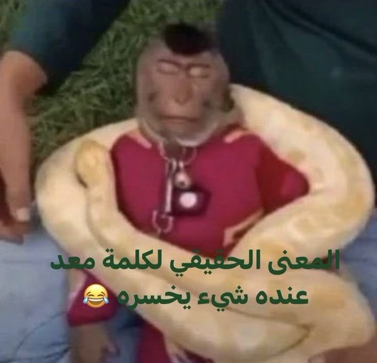 maado78's tweet photo. عمانيه وملحده https://t.co/JzcSSPqYJk