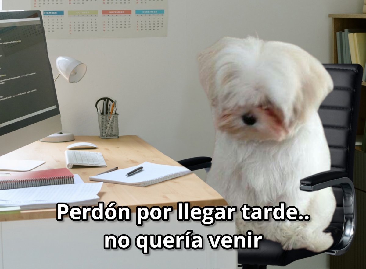 Guarromantico_'s tweet photo. Yo entrando tarde al trabajo: https://t.co/xTSV4fiuPj