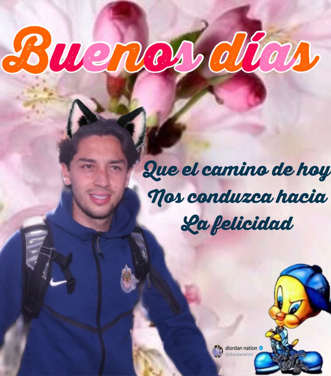 diordanation's tweet photo. Oigan, ¿Pero sí les gusta mis buenos días o neh? Para ya saber si lo sigo haciendo o no 😞

—🦧 https://t.co/howCywbrhs